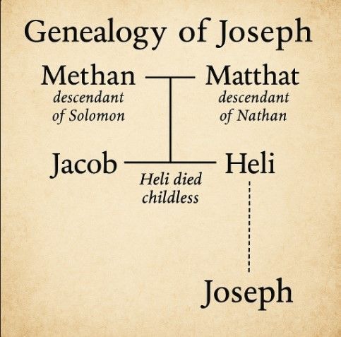 Why Do The Genealogies Of Jesus In Matthew And Luke Seem To Contradict?